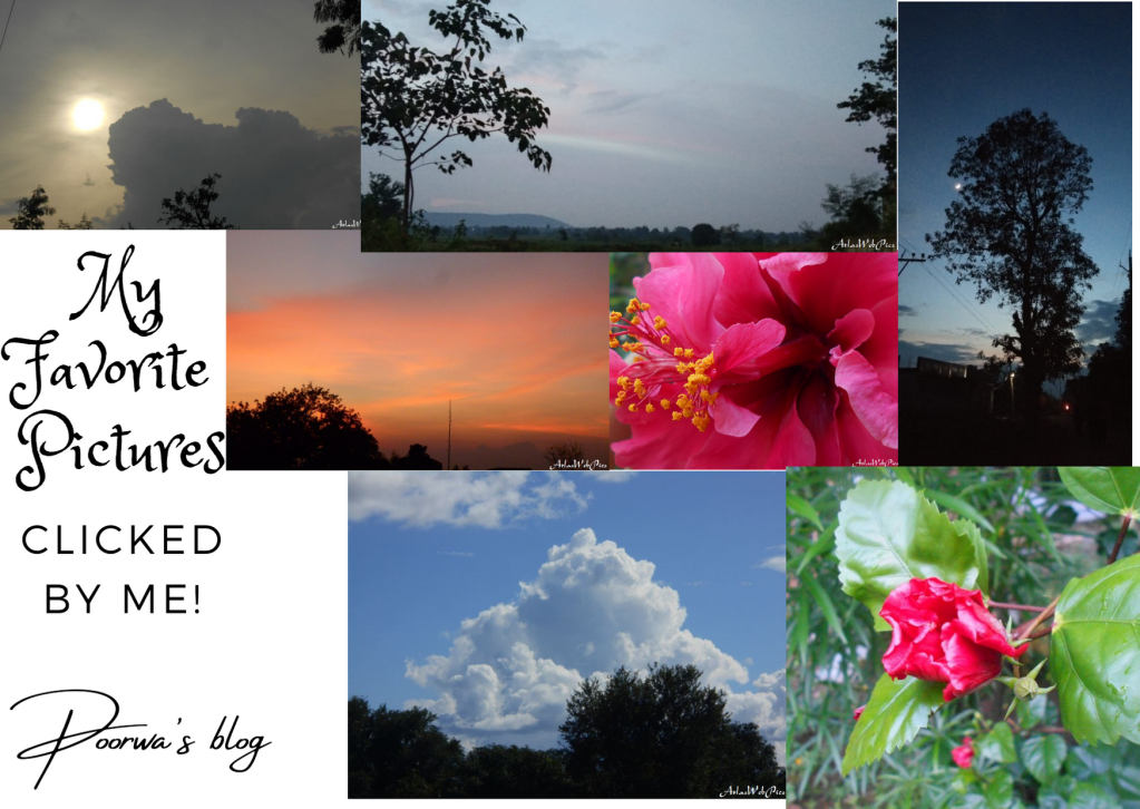 My favorite pictures captured by&nbsp;me!