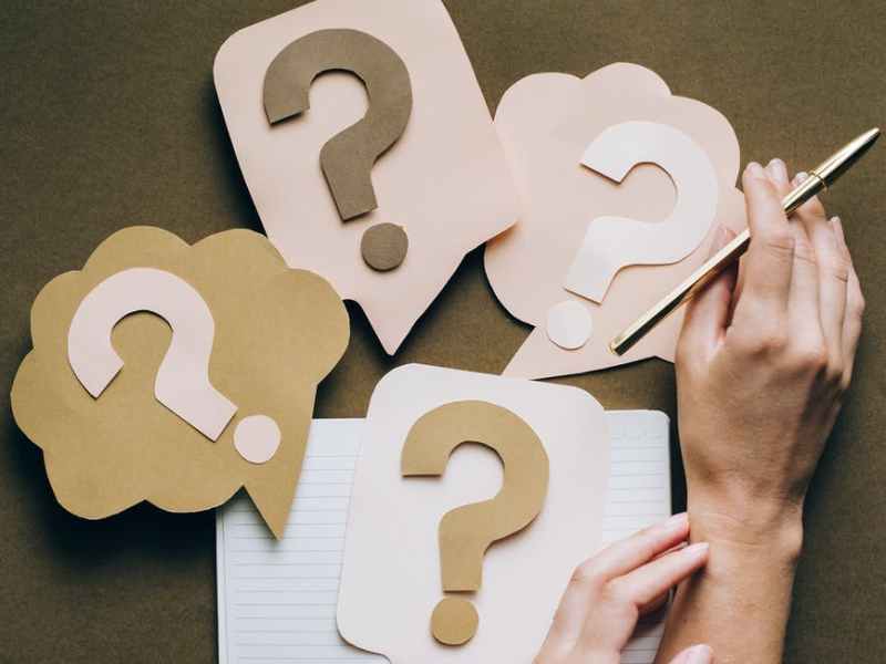 5 Of My Biggest Pet&nbsp;Peeves